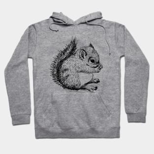 Cute squirrel Hoodie